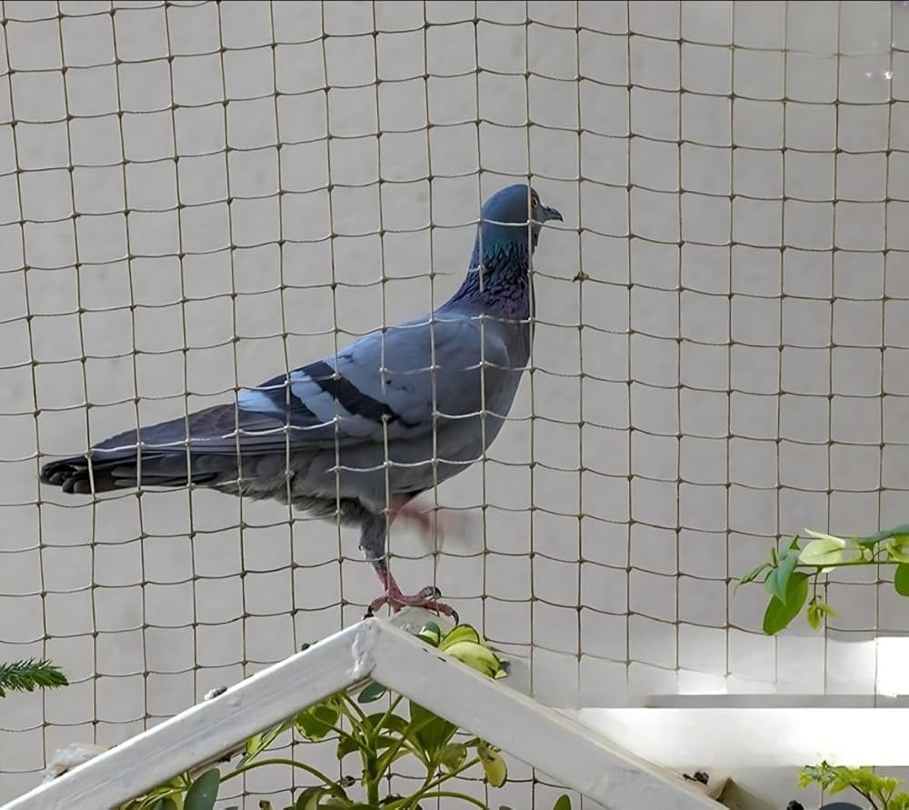 Anti bird nets installation in Hyderabad