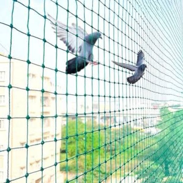 Safety Nets in Tadepalligudem